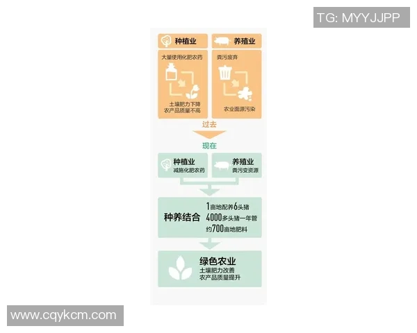 果园生态循环与可持续发展：从种植到收获的全链条探索与实践