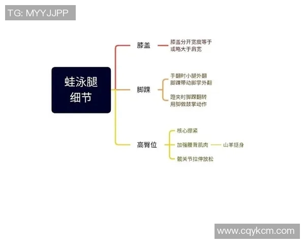 蛙泳动作要领解析及技巧训练步骤详解